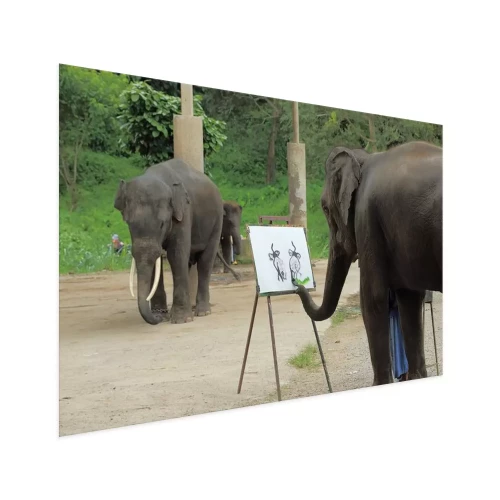 Visualisatie van het product