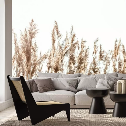 Fotobehang Louche riet stengels