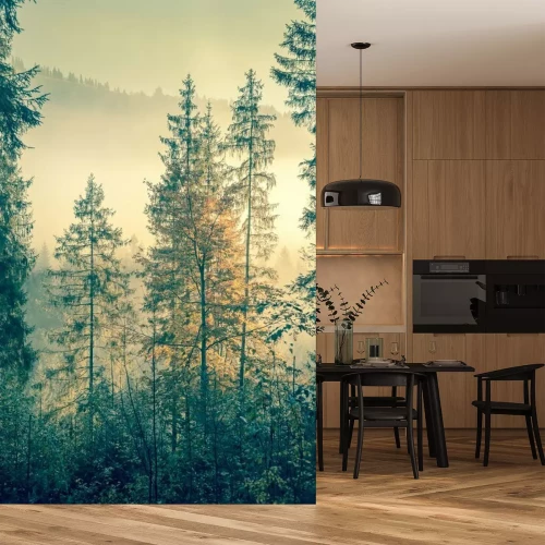 Fotobehang Bomen gehuld in mist tijdens de ochtendzon.