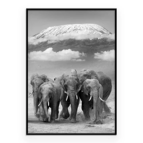 Poster Olifanten met de Kilimanjaro op de achtergrond.