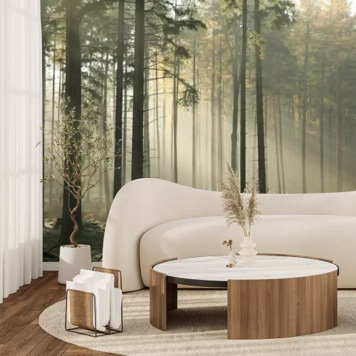 Fotobehang Vorst in het herfstbos