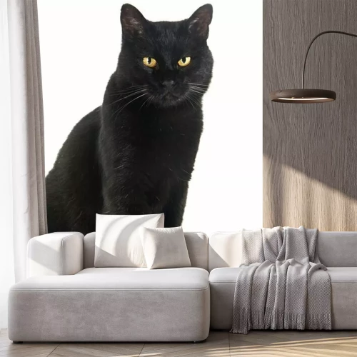 Sticker Kat met gele ogen en witte snorharen