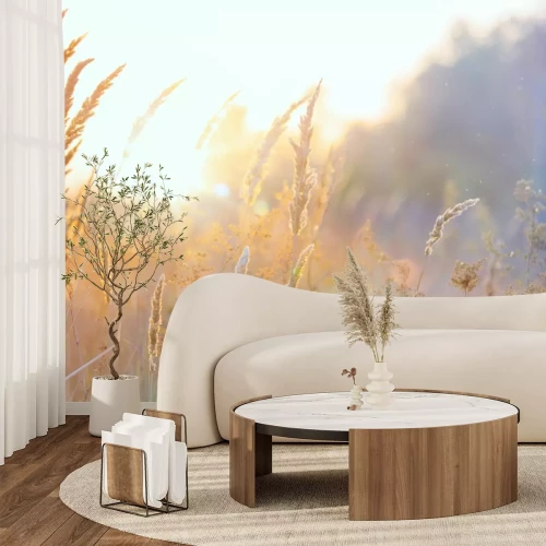 Fotobehang Close-up van wilde grassen in de volle zon