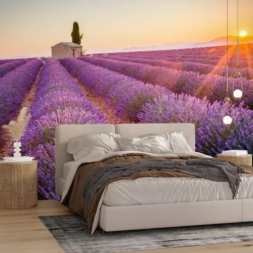 Fotobehang Zonsondergang boven een lavendelveld in de Provence
