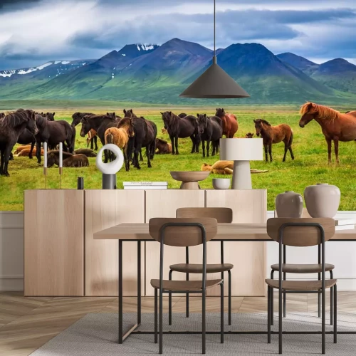 Sticker Paarden op een open plek tijdens rust en bergen