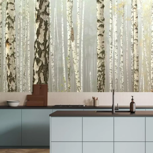 Fotobehang Berkenbosbomen in de ochtendmist