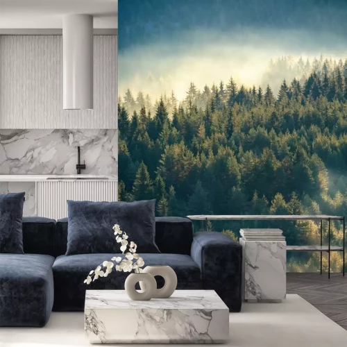 Fotobehang Dennen gehuld in mist