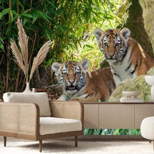 Fotobehang Twee tijgers in een grot