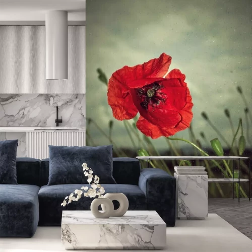 Fotobehang Klaproos in de regen