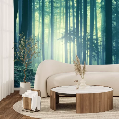 Fotobehang Mistig boslandschap in de ochtend