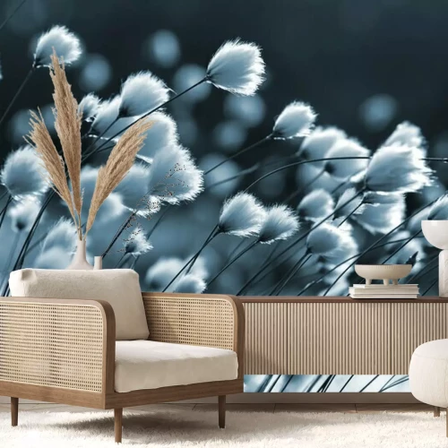 Fotobehang Blauw siergras wollegras