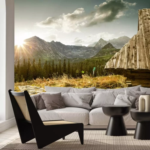 Fotobehang Hala Gąsienicowa landschap Poolse bergen