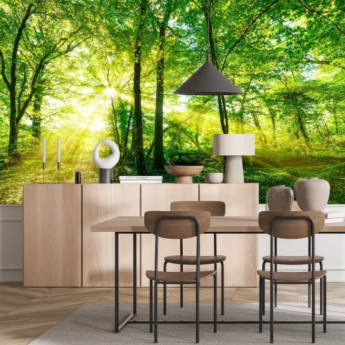 Fotobehang Een bos badend in gouden zonlicht