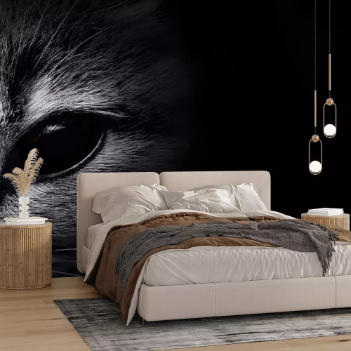 Sticker Kattenportret van een kat met een blauw oog van donkere kleuren