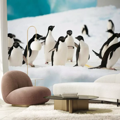 Fotobehang Pingu?ns lopen op de sneeuw