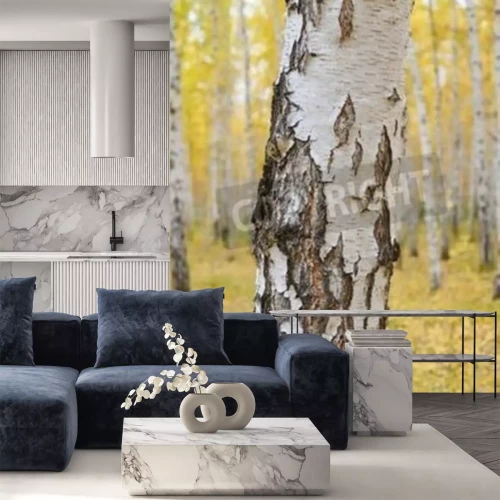 Fotobehang Berkenboom in een herfstbos