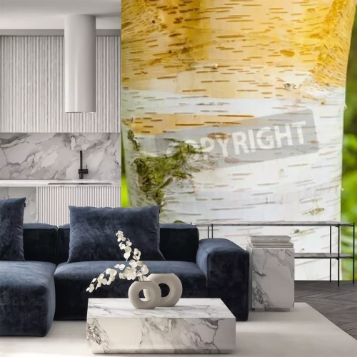 Fotobehang Bast van witte berk