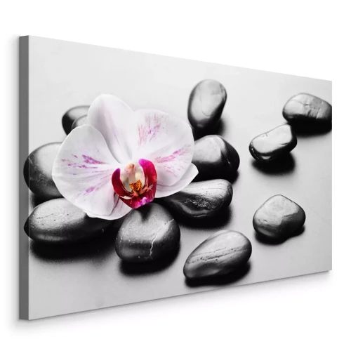 Canvas Orchideeënbloem en zenstenen