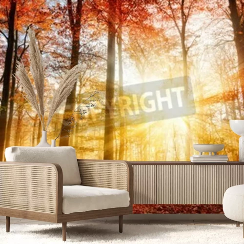 Fotobehang Zonsopgang in Herfstbos