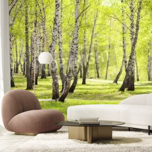 Fotobehang Berken in een park