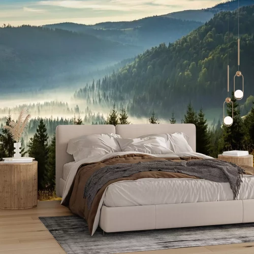 Fotobehang Mist over het naaldbos in de bergen