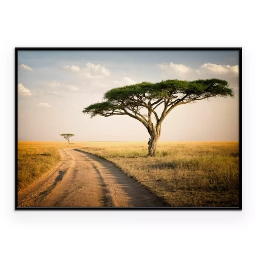 Poster Afrikaans landschap - Tanzania