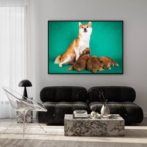 Visualisatie van het product