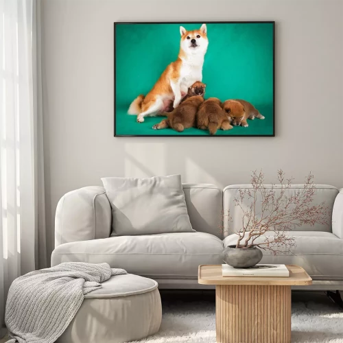 Visualisatie van het product