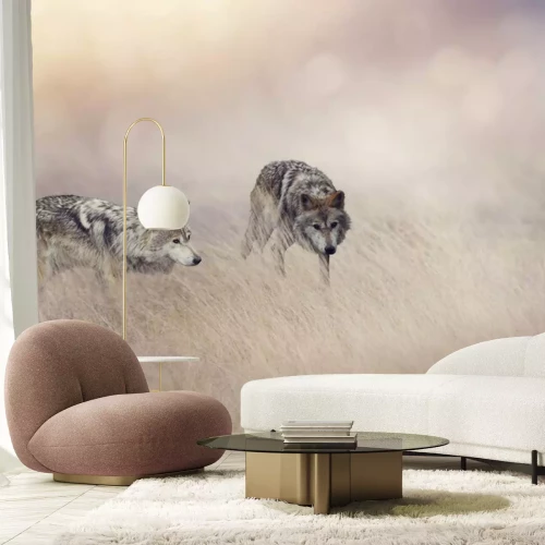 Fotobehang Twee wolven in het hoge gras