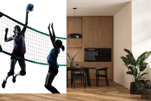 Visualisatie van het product