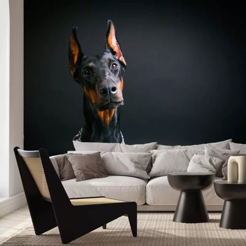 Sticker Кобель добермана