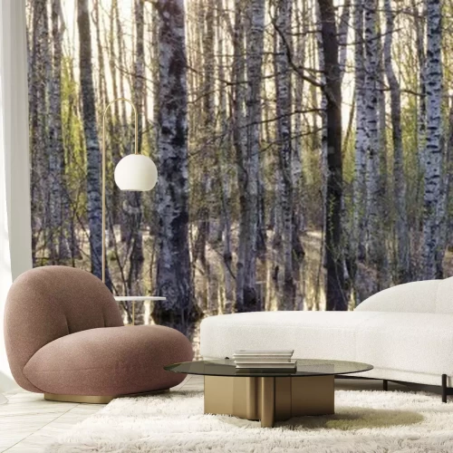 Fotobehang Berken in bloei