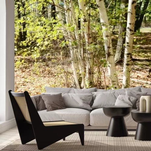 Fotobehang Berken en nieuwe struiken