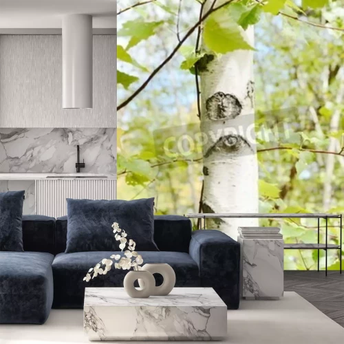 Fotobehang Berkenbast