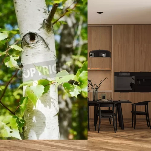 Fotobehang Berkenboom in close-up