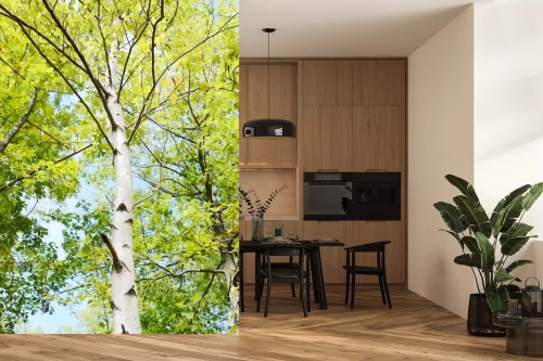 Visualisatie van het product