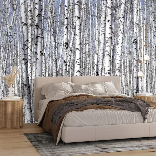 Fotobehang Dicht bos met berken