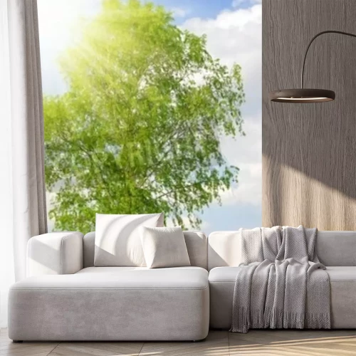 Fotobehang 3D berkenboom in de zon