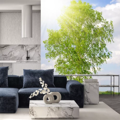 Fotobehang 3D berkenboom in de zon