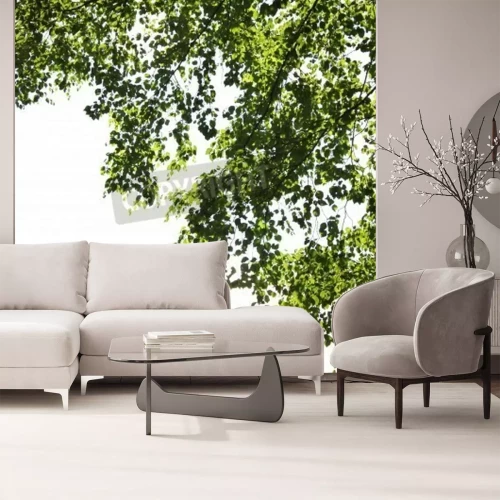 Fotobehang Witte berkenbladeren op een witte achtergrond