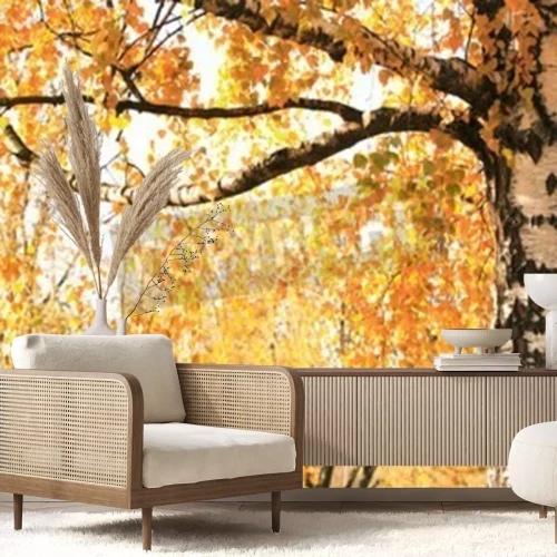 Fotobehang Herfstbladeren van berken