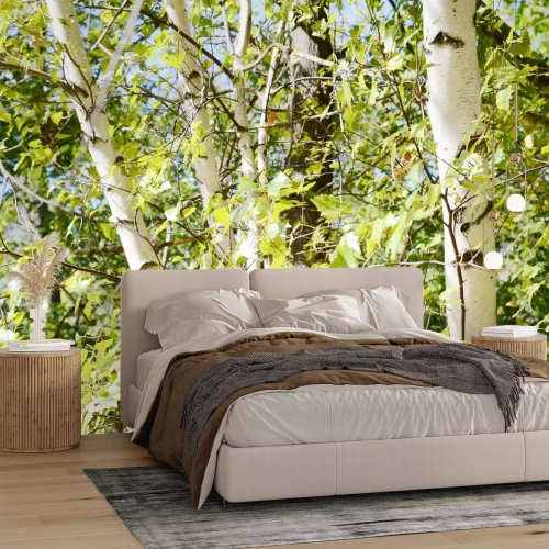 Fotobehang Berkenbos en groen