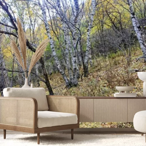 Fotobehang Berken in een herfstbos