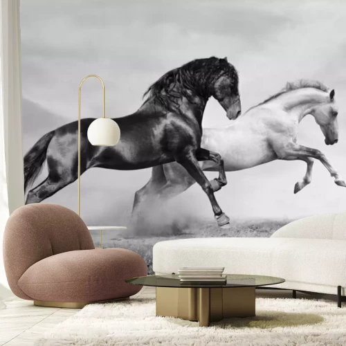 Fotobehang Paarden in zwart-wit versie