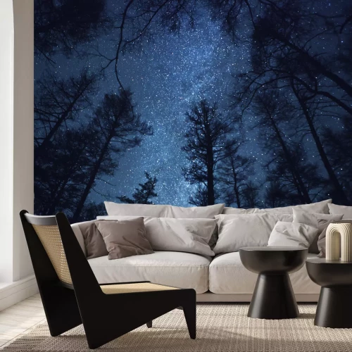 Fotobehang Prachtige nachtelijke hemel