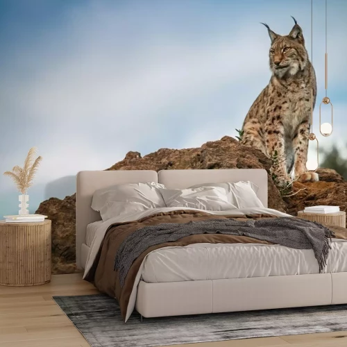 Fotobehang Een lynx op een steen tegen een blauwe lucht