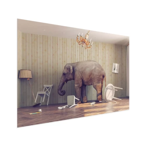 Visualisatie van het product