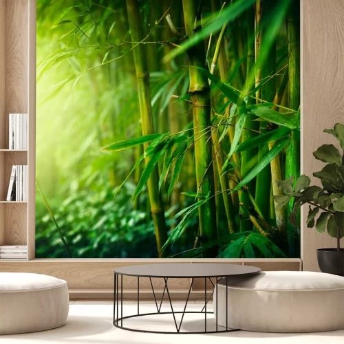 Fotobehang Bamboestruikgewas in de tropen