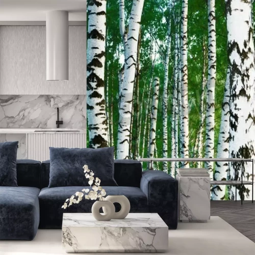 Fotobehang Dunne berken