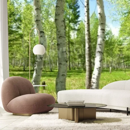 Fotobehang Kromme berken